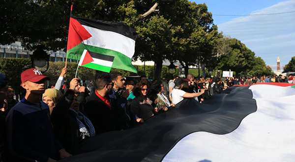 Tunisian demonstrators